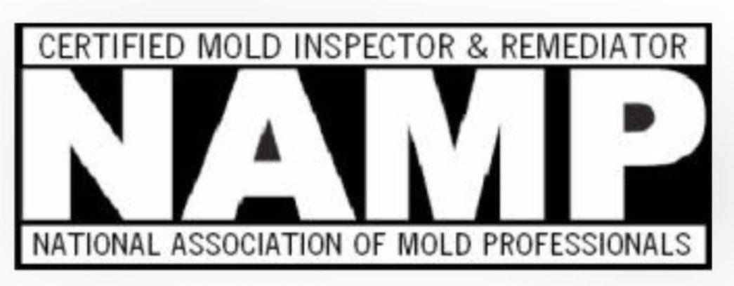 Logo of the Association of Mold Professionals (AMP).