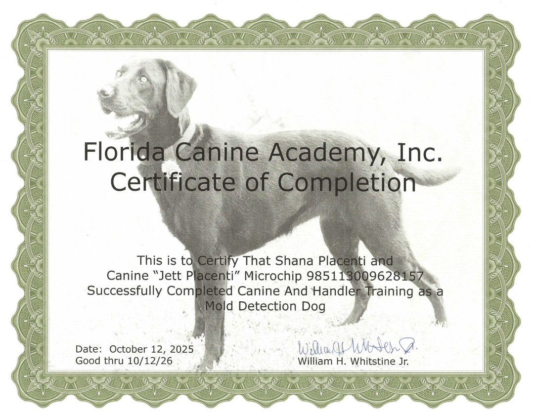Certificate of completion featuring a poodle illustration from Florida Canine Academy.