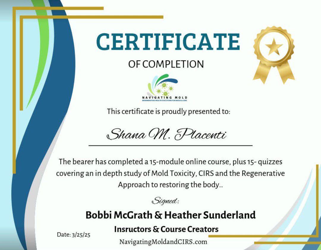 Certificate of completion awarded to Om Pramati for completing a course on creating and designing posters.