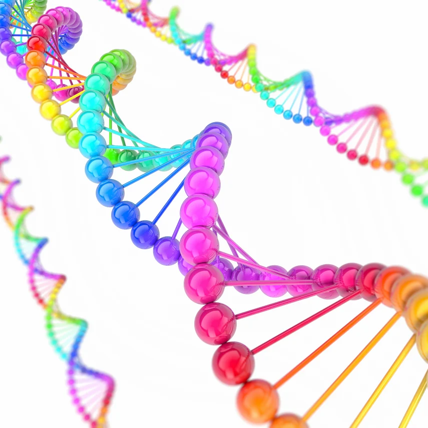Colorful DNA double helix strands representing genetic structure.